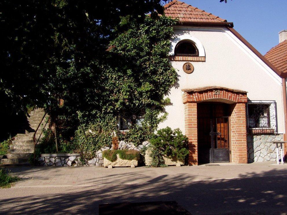 Penzion Pod Vapenkami Straznice Exterior photo